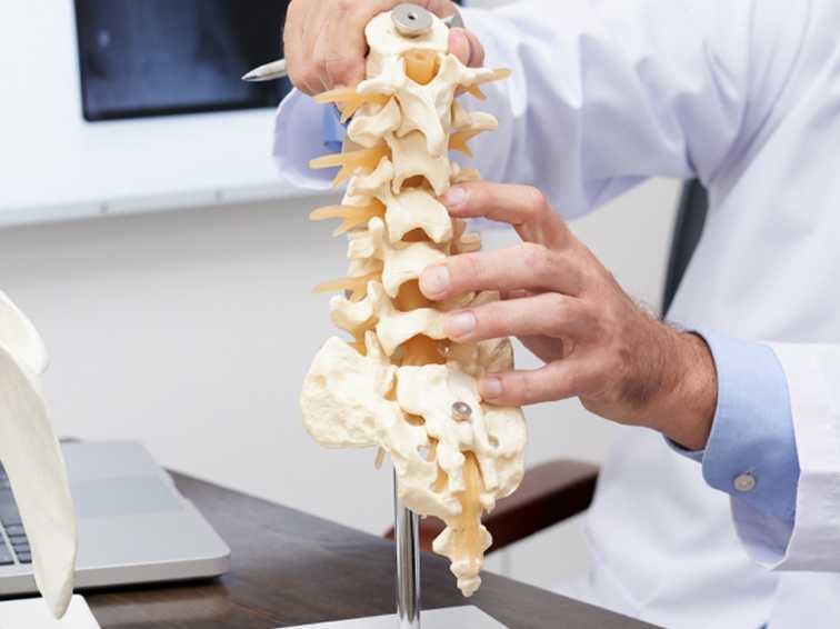 bone model on table